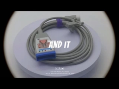 PH M1668A كابل الكهرباء الكهربائية 989803145061 كابل الكهرباء الكهربائية الكهربائية مع وصلة 12 دبوس