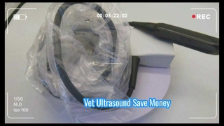 ميندراي 75L50EAV مسبار الموجات فوق الصوتية البيطرية